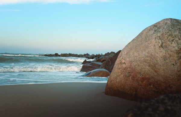 Vortrag: „Retten wir die Ostsee?! Teil 3: Landwirtschaft und Ostseeschutz“